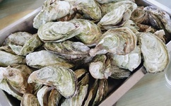 日本又黄又裸一级大黄裸片